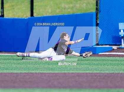 Thumbnail 1 in Holy Family vs. Falcon (CHSAA 4A Semifinal) photogallery.