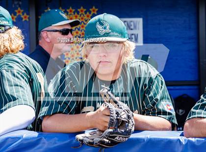 Thumbnail 3 in Holy Family vs. Falcon (CHSAA 4A Semifinal) photogallery.