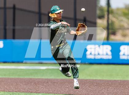 Thumbnail 2 in Holy Family vs. Falcon (CHSAA 4A Semifinal) photogallery.