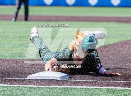 Thumbnail 2 in Holy Family vs. Falcon (CHSAA 4A Semifinal) photogallery.