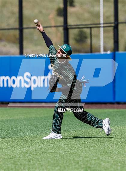 Thumbnail 2 in Holy Family vs. Falcon (CHSAA 4A Semifinal) photogallery.