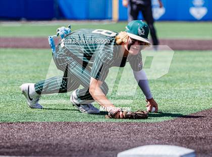 Thumbnail 1 in Holy Family vs. Falcon (CHSAA 4A Semifinal) photogallery.
