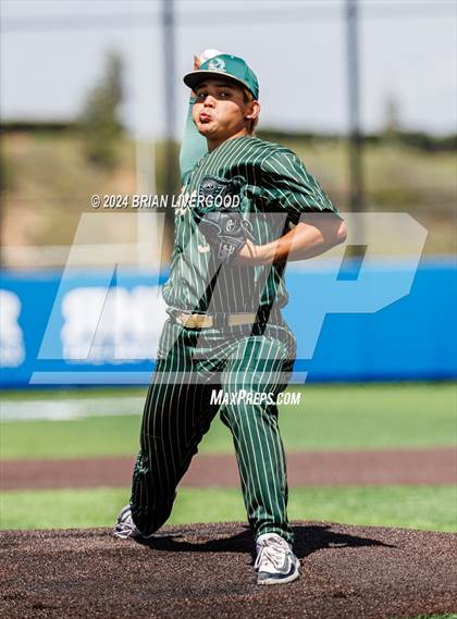 Thumbnail 1 in Holy Family vs. Falcon (CHSAA 4A Semifinal) photogallery.