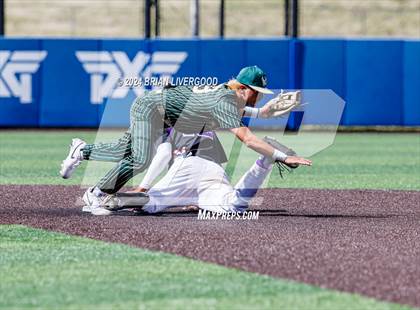 Thumbnail 3 in Holy Family vs. Falcon (CHSAA 4A Semifinal) photogallery.