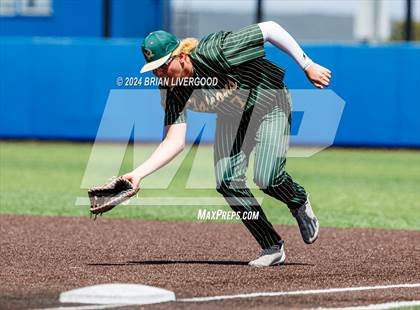 Thumbnail 1 in Holy Family vs. Falcon (CHSAA 4A Semifinal) photogallery.