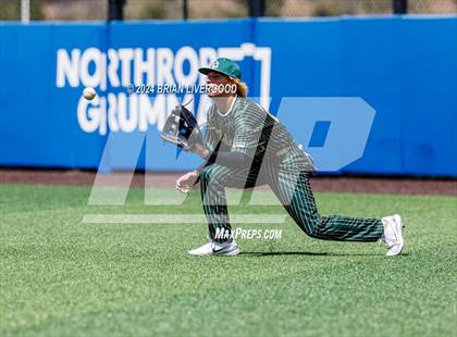 Thumbnail 1 in Holy Family vs. Falcon (CHSAA 4A Semifinal) photogallery.