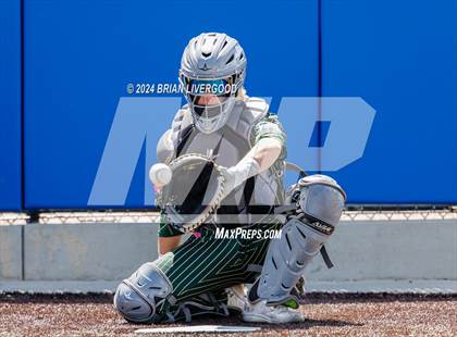 Thumbnail 3 in Holy Family vs. Falcon (CHSAA 4A Semifinal) photogallery.