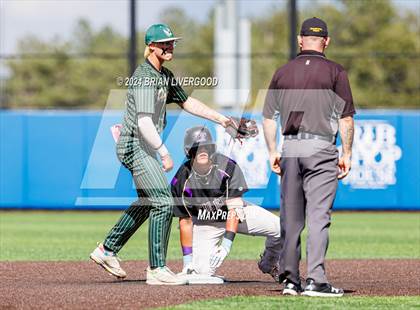 Thumbnail 1 in Holy Family vs. Falcon (CHSAA 4A Semifinal) photogallery.
