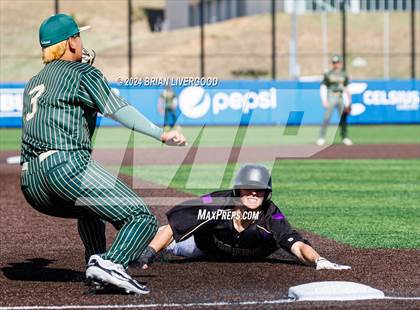 Thumbnail 3 in Holy Family vs. Falcon (CHSAA 4A Semifinal) photogallery.