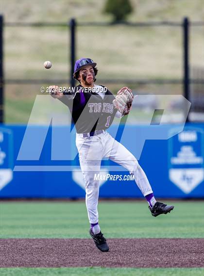 Thumbnail 1 in Holy Family vs. Falcon (CHSAA 4A Semifinal) photogallery.