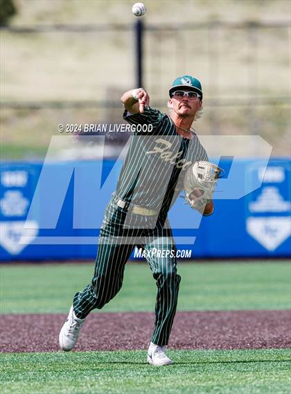 Thumbnail 2 in Holy Family vs. Falcon (CHSAA 4A Semifinal) photogallery.