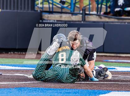 Thumbnail 1 in Holy Family vs. Falcon (CHSAA 4A Semifinal) photogallery.