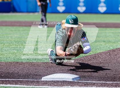 Thumbnail 1 in Holy Family vs. Falcon (CHSAA 4A Semifinal) photogallery.