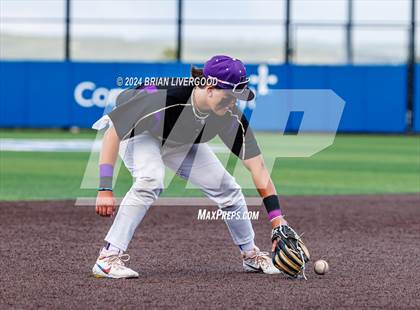 Thumbnail 3 in Holy Family vs. Falcon (CHSAA 4A Semifinal) photogallery.