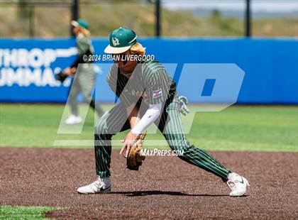 Thumbnail 1 in Holy Family vs. Falcon (CHSAA 4A Semifinal) photogallery.