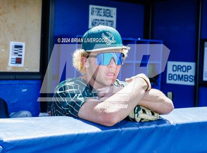 Thumbnail 2 in Holy Family vs. Falcon (CHSAA 4A Semifinal) photogallery.