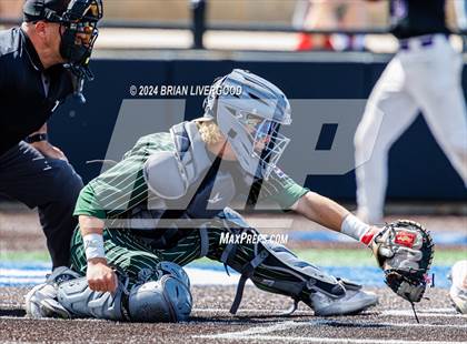 Thumbnail 2 in Holy Family vs. Falcon (CHSAA 4A Semifinal) photogallery.