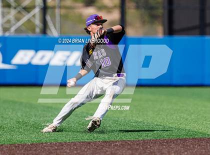 Thumbnail 1 in Holy Family vs. Falcon (CHSAA 4A Semifinal) photogallery.