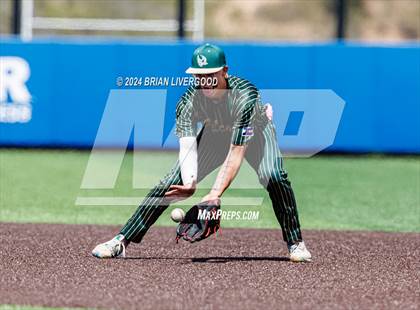 Thumbnail 1 in Holy Family vs. Falcon (CHSAA 4A Semifinal) photogallery.