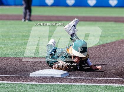 Thumbnail 3 in Holy Family vs. Falcon (CHSAA 4A Semifinal) photogallery.