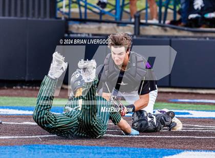 Thumbnail 1 in Holy Family vs. Falcon (CHSAA 4A Semifinal) photogallery.