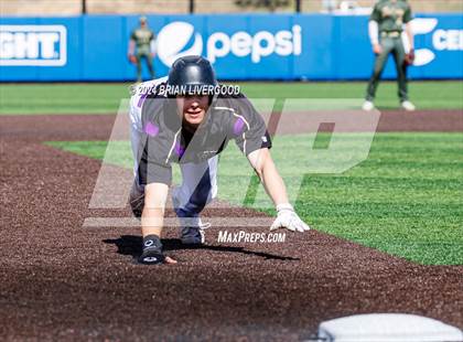 Thumbnail 1 in Holy Family vs. Falcon (CHSAA 4A Semifinal) photogallery.
