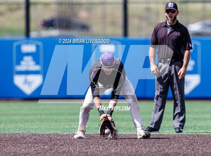 Thumbnail 1 in Holy Family vs. Falcon (CHSAA 4A Semifinal) photogallery.