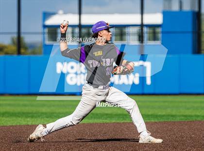 Thumbnail 2 in Holy Family vs. Falcon (CHSAA 4A Semifinal) photogallery.