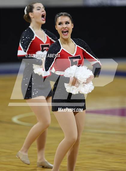 Thumbnail 1 in Elizabeth CHSAA Spirit Poms photogallery.