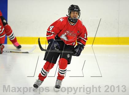 Thumbnail 1 in Fox Lane @  Horace Greeley photogallery.