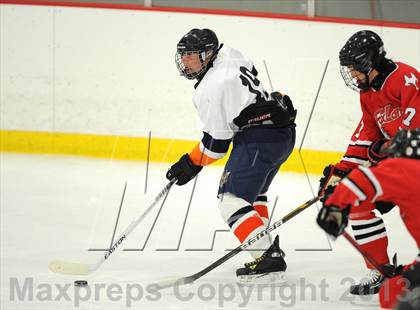 Thumbnail 1 in Fox Lane @  Horace Greeley photogallery.