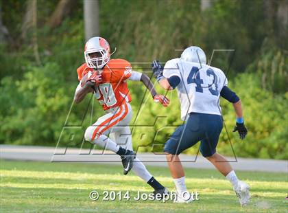 Thumbnail 2 in South Lake @ Mount Dora photogallery.
