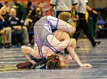 Thumbnail 3 in NCHSAA State 3A Wrestling Championships  photogallery.