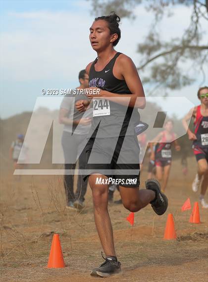 Thumbnail 1 in CIF SJS Subsection (Divison 1) photogallery.