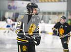 Photo from the gallery "Fairport @ McQuaid Jesuit"