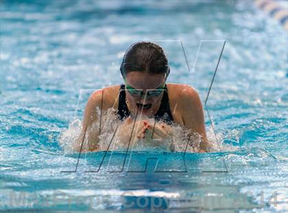 Thumbnail 1 in Valor Christian Swimming Invitational photogallery.