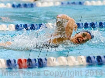 Thumbnail 1 in Valor Christian Swimming Invitational photogallery.