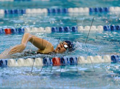 Thumbnail 1 in Valor Christian Swimming Invitational photogallery.