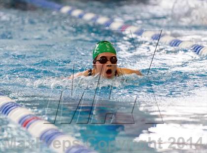 Thumbnail 1 in Valor Christian Swimming Invitational photogallery.