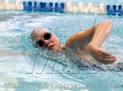 Thumbnail 2 in Valor Christian Swimming Invitational photogallery.