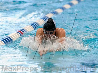 Thumbnail 2 in Valor Christian Swimming Invitational photogallery.
