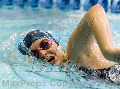 Thumbnail 1 in Valor Christian Swimming Invitational photogallery.