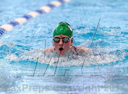 Thumbnail 1 in Valor Christian Swimming Invitational photogallery.