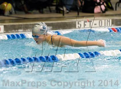 Thumbnail 1 in Valor Christian Swimming Invitational photogallery.