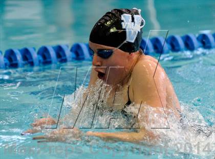 Thumbnail 1 in Valor Christian Swimming Invitational photogallery.