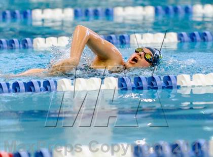 Thumbnail 1 in Valor Christian Swimming Invitational photogallery.