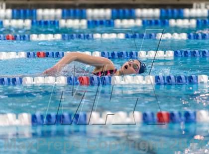 Thumbnail 2 in Valor Christian Swimming Invitational photogallery.