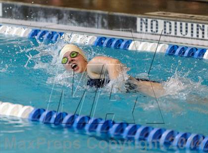Thumbnail 2 in Valor Christian Swimming Invitational photogallery.