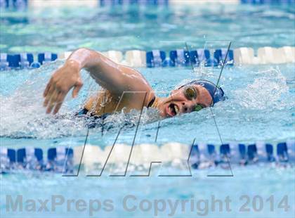 Thumbnail 2 in Valor Christian Swimming Invitational photogallery.