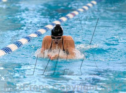 Thumbnail 1 in Valor Christian Swimming Invitational photogallery.